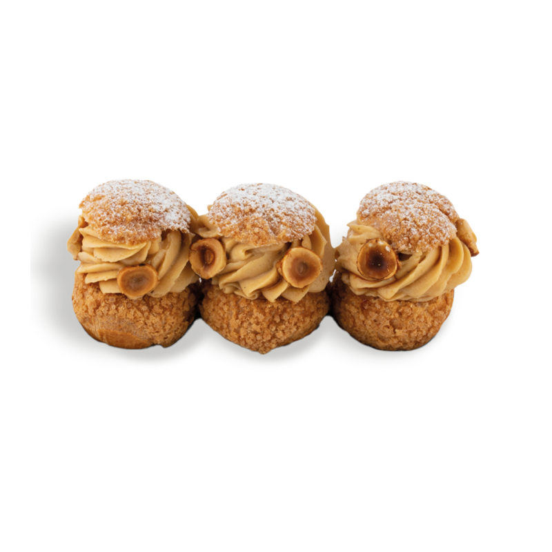 Paris-Brest Paris-Brest