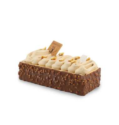 Bûche glacée rocher